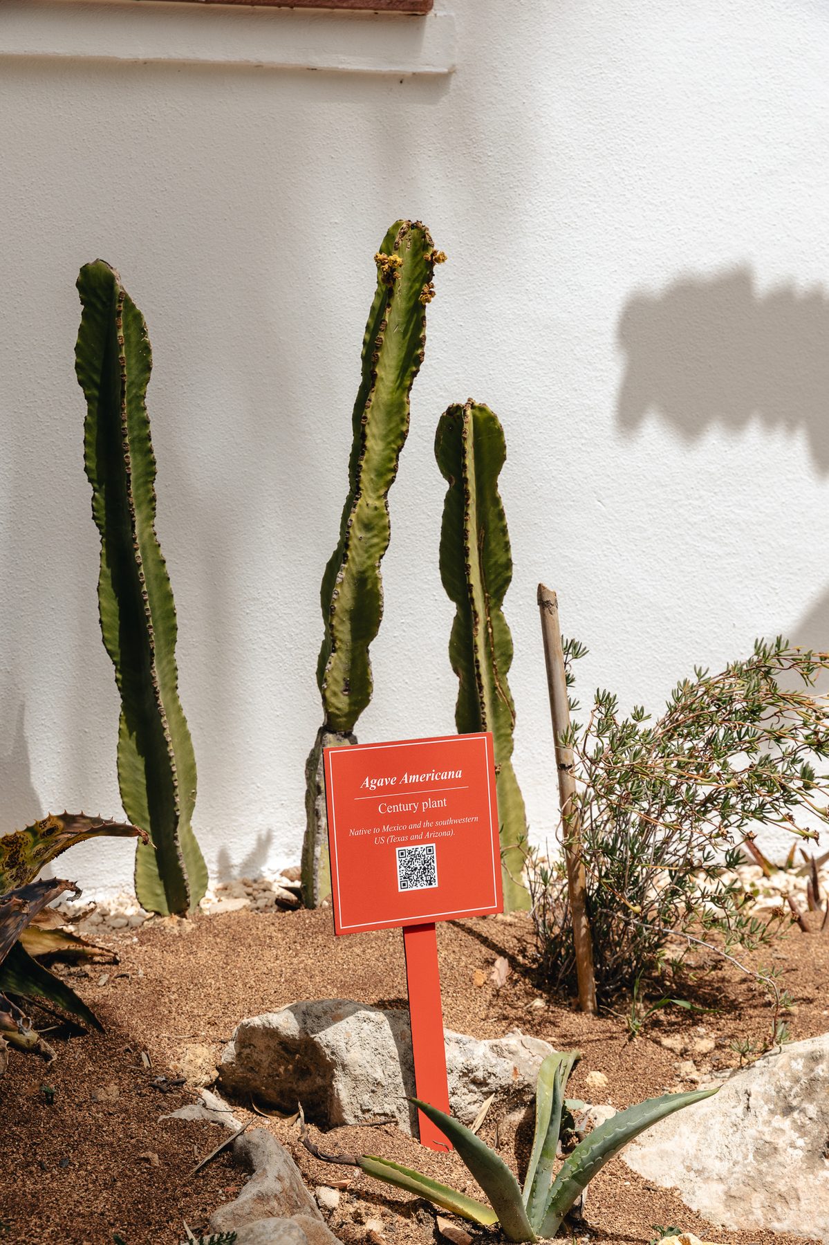 Botanical garden plants