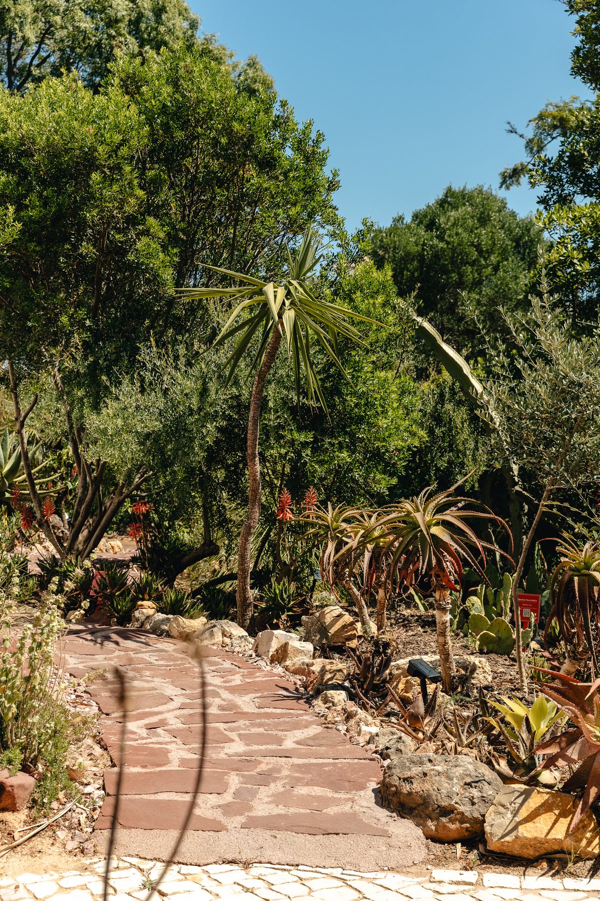 Botanical garden plants